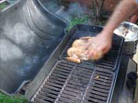 Jerked, Grilled, Whole Chicken, Picture