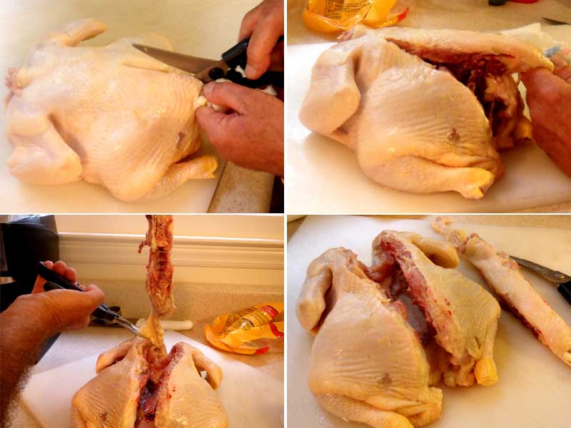 Removing a Chickens Back Bone, Picture
