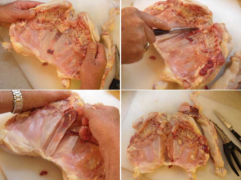 Removing a Chickens Breast Bone, Picture