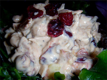 Chicken Salad Picture