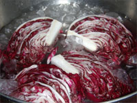 Radicchio in Ice Water Picture