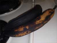 Plantain Fritters, the ripened plantains Picture