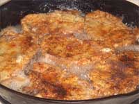 INSERT_DESCRIPTION Picture