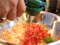 Jerked Cantaloupe Salsa, Picture